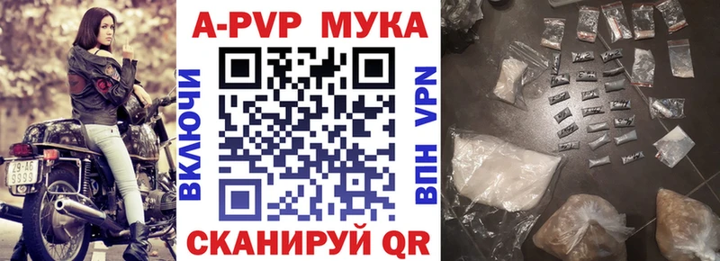 omg tor  Арск  A PVP СК КРИС 