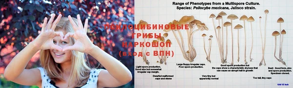 наркотики Армянск